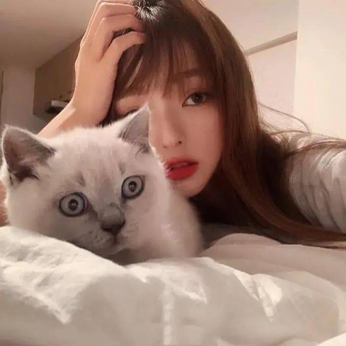 头像图片丨女生头像丨可爱的猫系女头1214