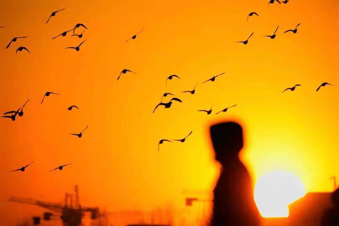 诗人笔下的黄昏虽美