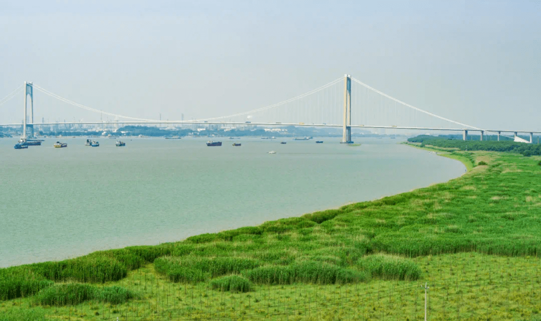 南京这个新城,快进ing!_龙袍