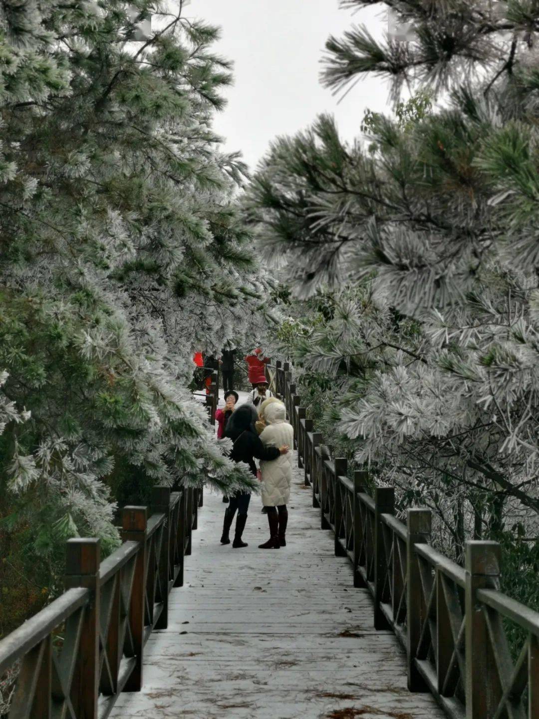 文成山一角度假村图片