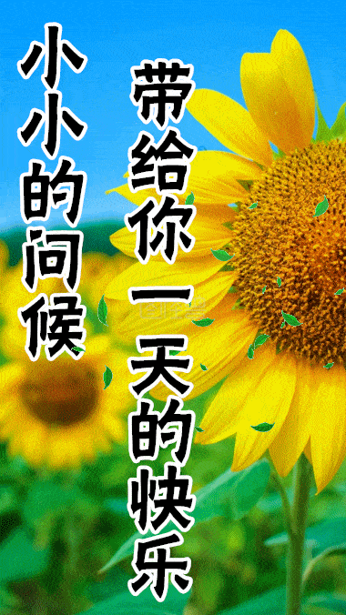 12月16日最漂亮早上好动态表情图片大全早晨好动图美图大全