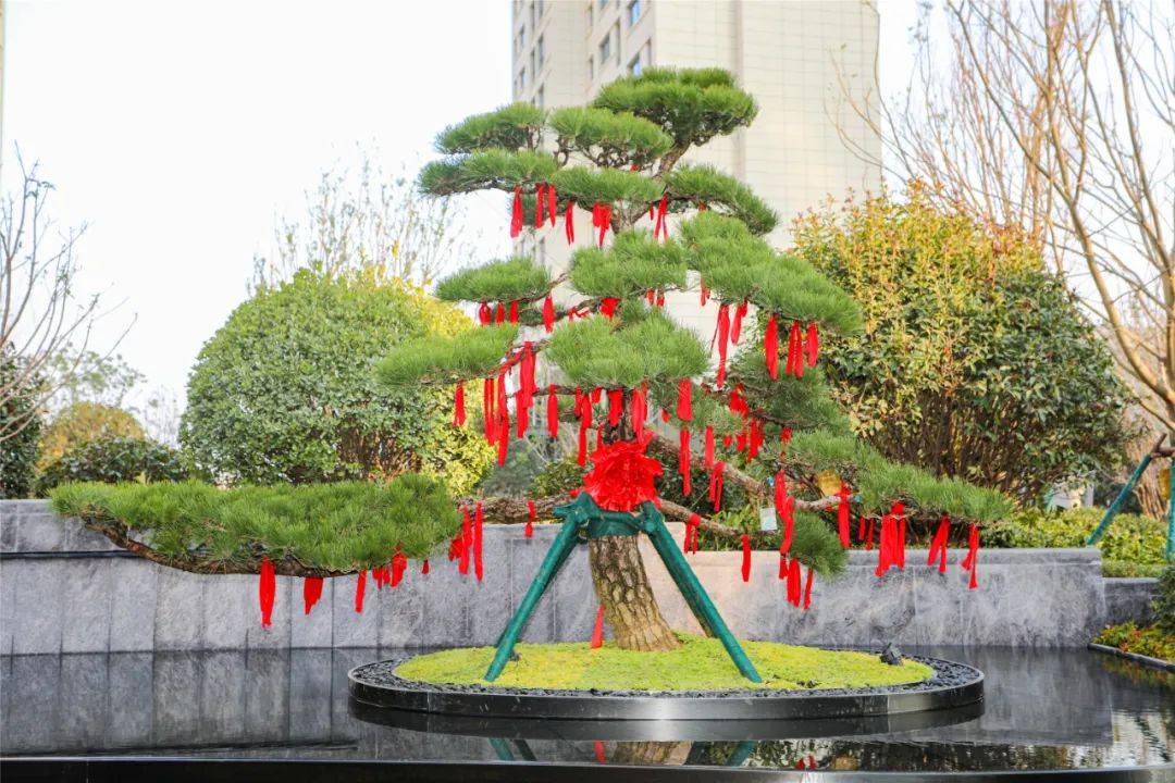 1007探访好漂亮商丘这个小区即将交房每一个细节都好看极了