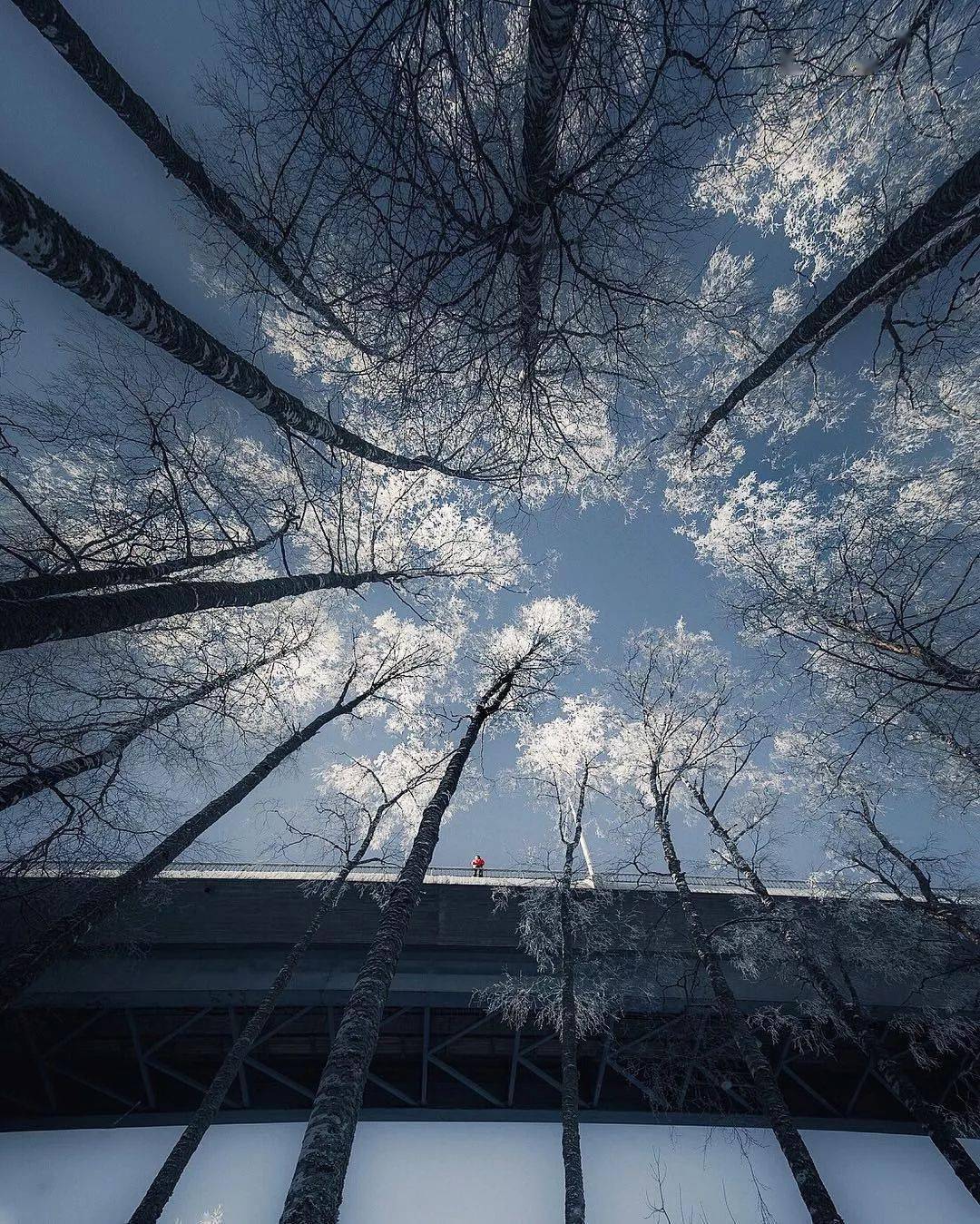 有一种构图,一拍就是大片,你发现其中的秘密吗?_对比