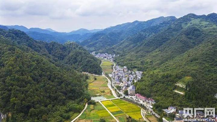 沿着一条九曲十八弯的山溪,于七八公里长的深山坞中,坐落着槎源坞村的