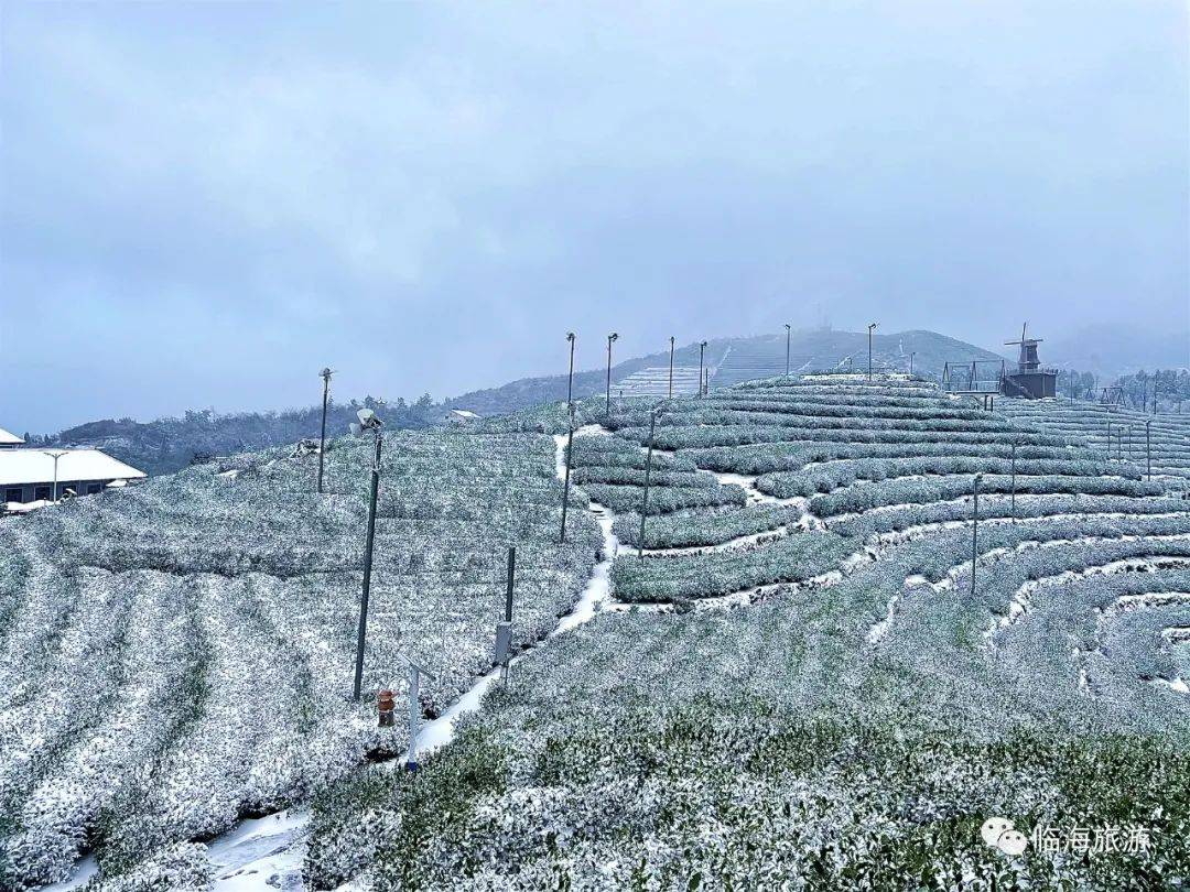 临海羊岩山雪景图片