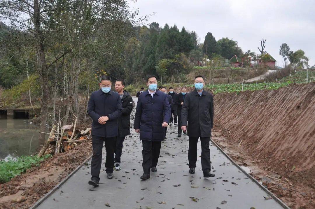 张斌视察重点工作