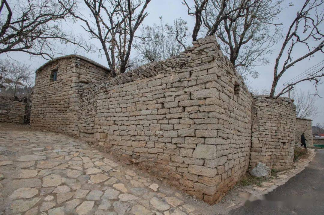 西唐村保存完好的旧民居百年老栾树无忧东唐东唐村村