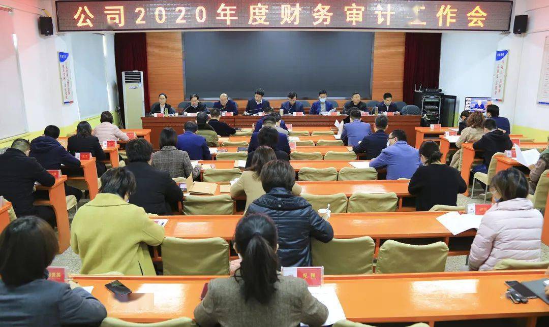 公司召开2020年度财务审计工作会