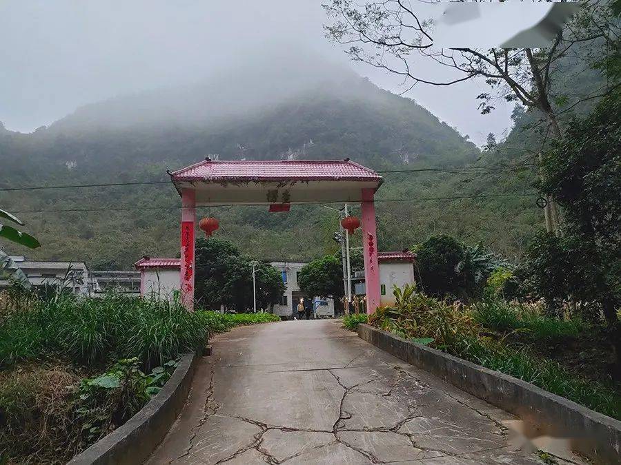 楞查屯位于天等县东部,距县城32公里,距驮堪乡府23公里,是一个典型的