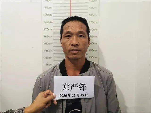 永平县公安局关于征集茶雪方,郑严锋等人违法犯罪线索的通告