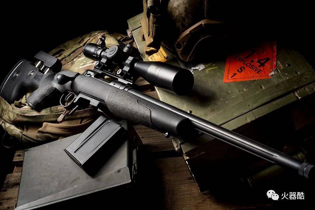 【难以逃脱的猎物】savage家的精准步枪图集