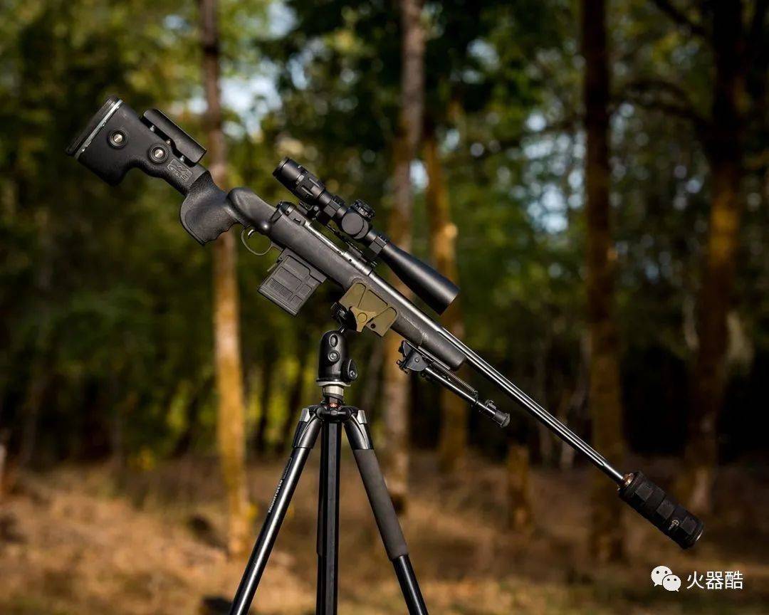 难以逃脱的猎物savage家的精准步枪图集