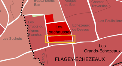 难买程度堪比茅台的勃艮第名庄我们搞来了