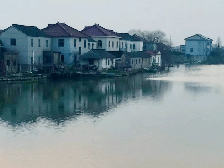 青浦区村容环境示范村的高"颜值秀,请您来评审_香花桥街道