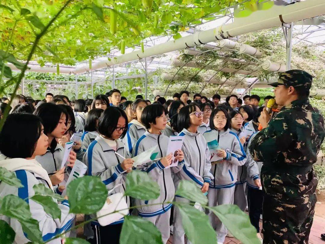 东南花都研学旅行图片