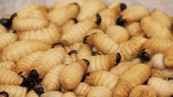 340_191gif 动态图 动图