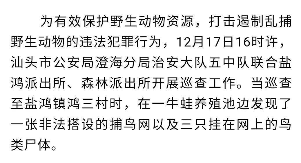 养殖池边非法搭设捕鸟网?抓!_手机搜狐网