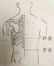 肝俞,肾俞既然内脏通过经络和它们之外的器官相互联系,生病时可以遥相