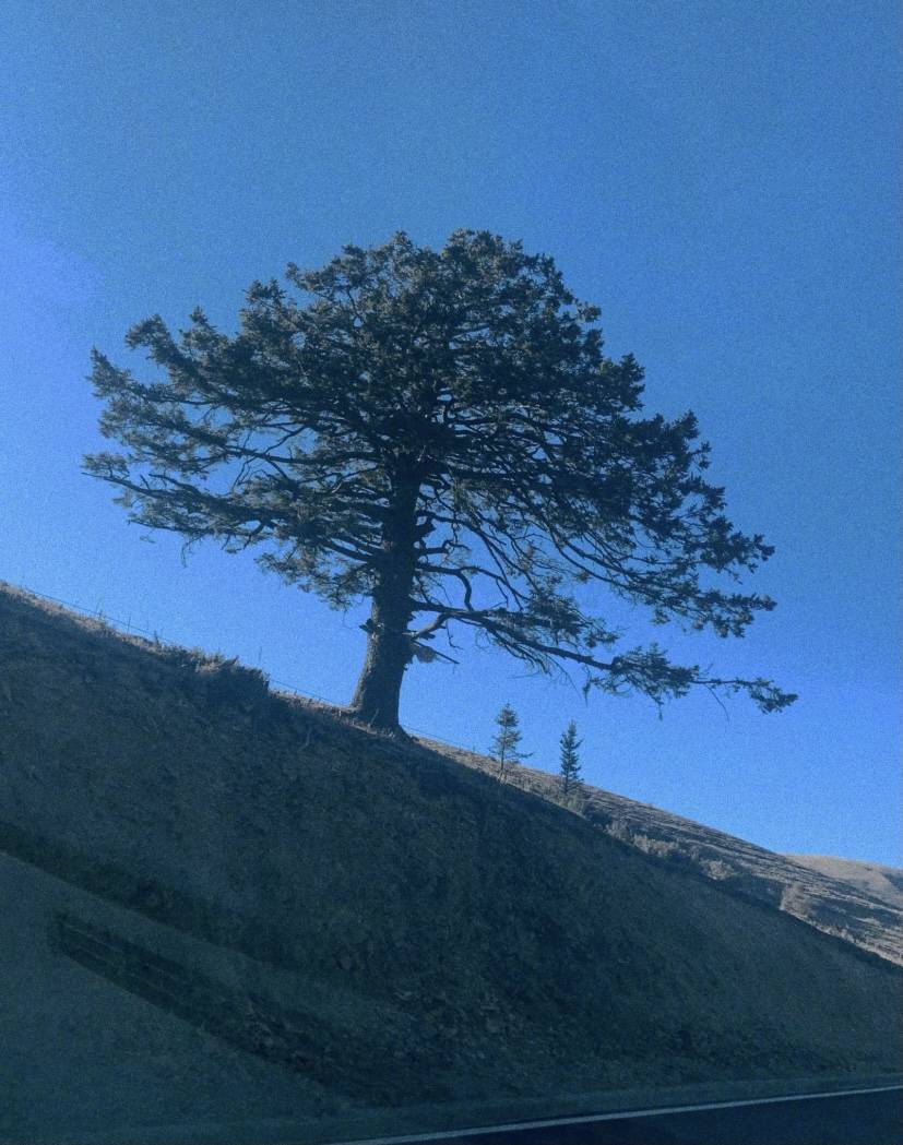 王俊凯绿洲作品集再1旅行小俊又送来风景明信片