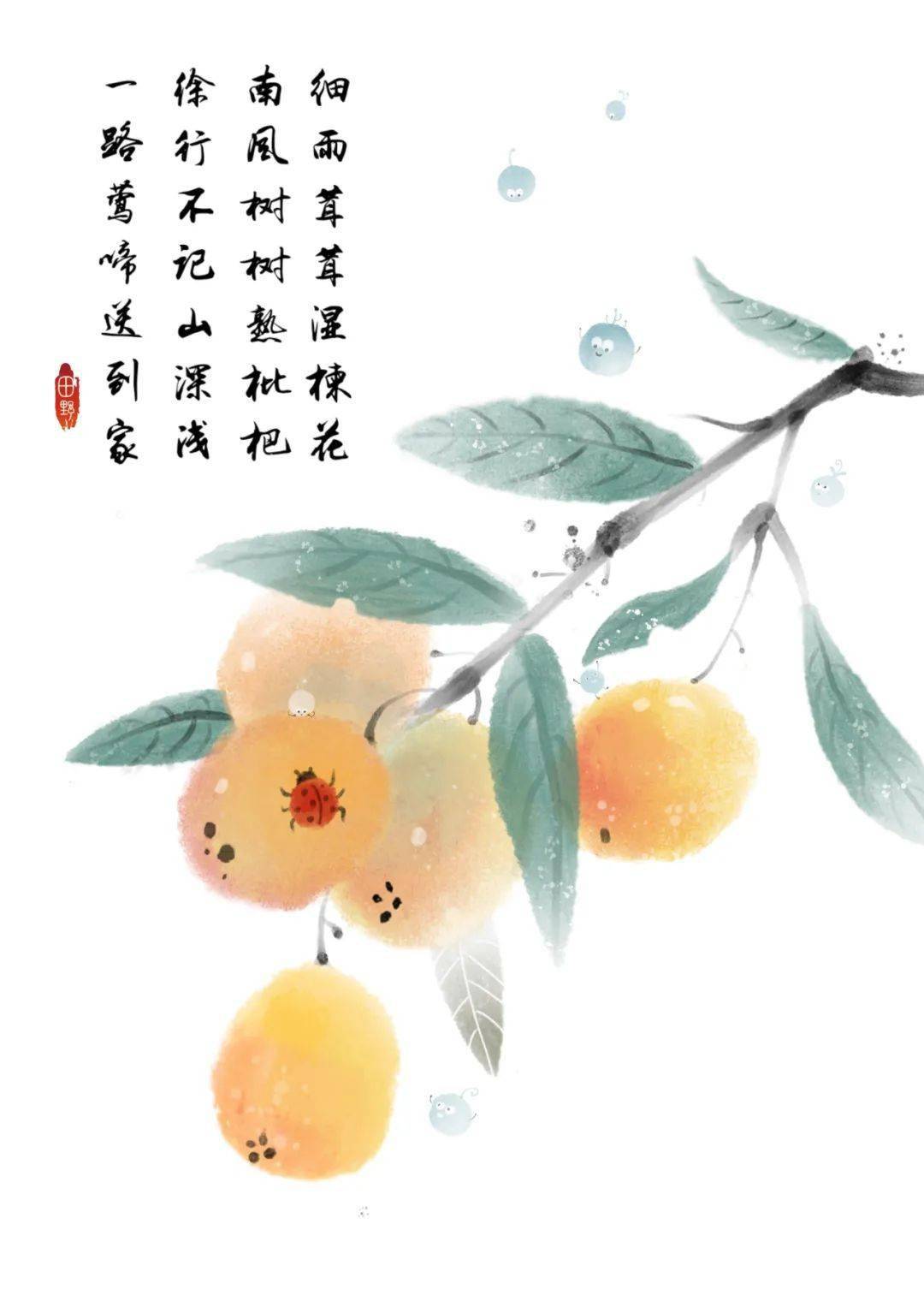 细雨蒙蒙打湿了楝花,在南风的吹拂下,每棵枇杷树的果实都慢慢变熟了.