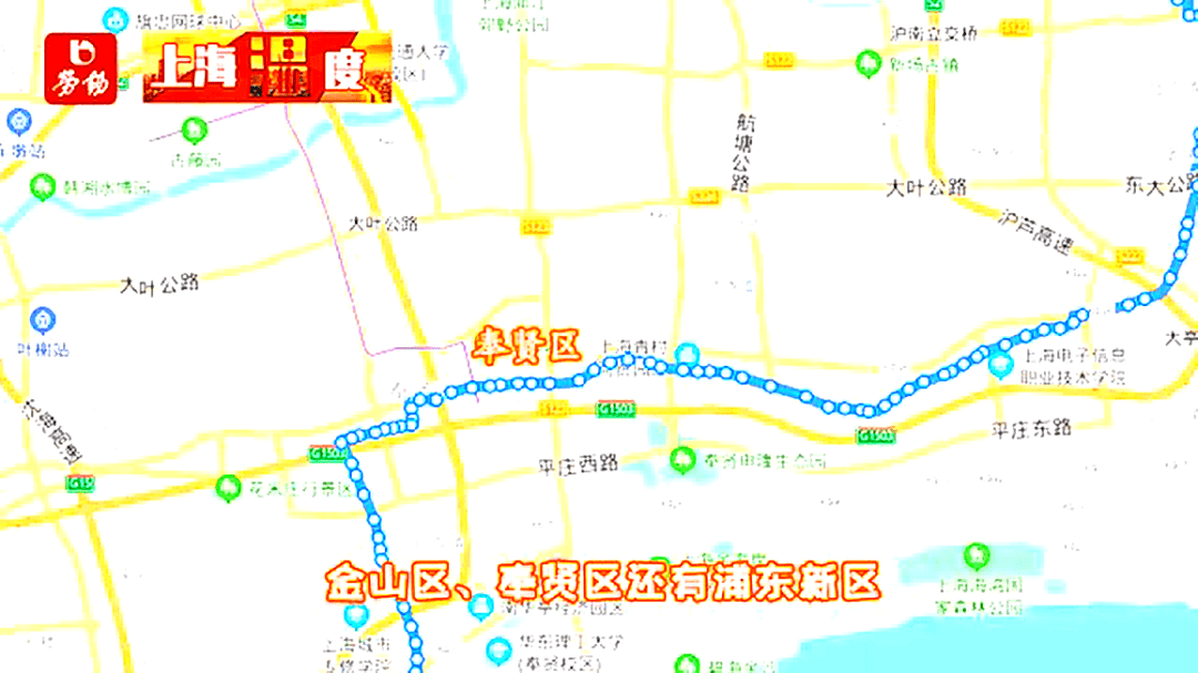 位于上海金山的石南专线网传有112个站!这是真的吗!为什么那么多