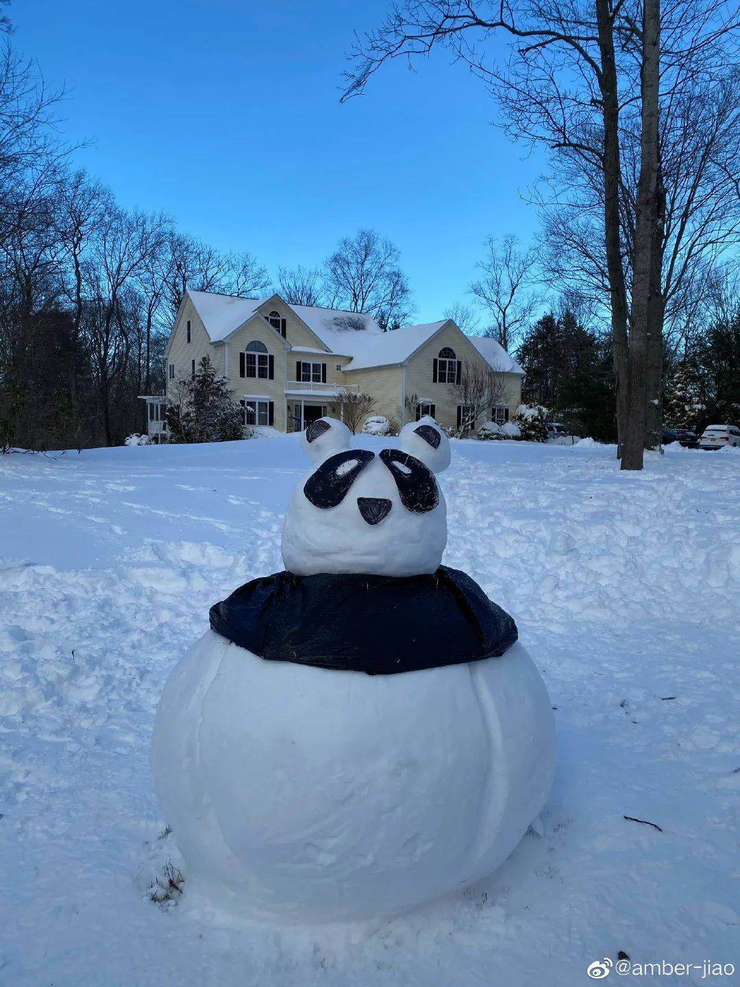 地里晒雪人大赛开始啦进来收获好心情转发这个雪人你将获得2021整年的
