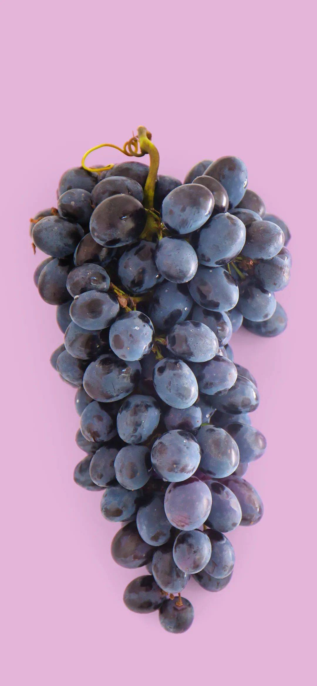 全面屏壁纸抖音无水印壁纸