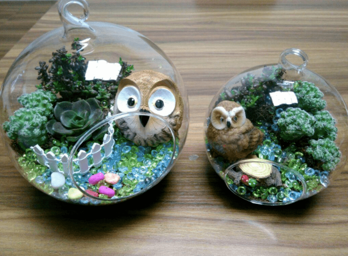 周末活动亲子多肉diy微景观让孩子创造艺术