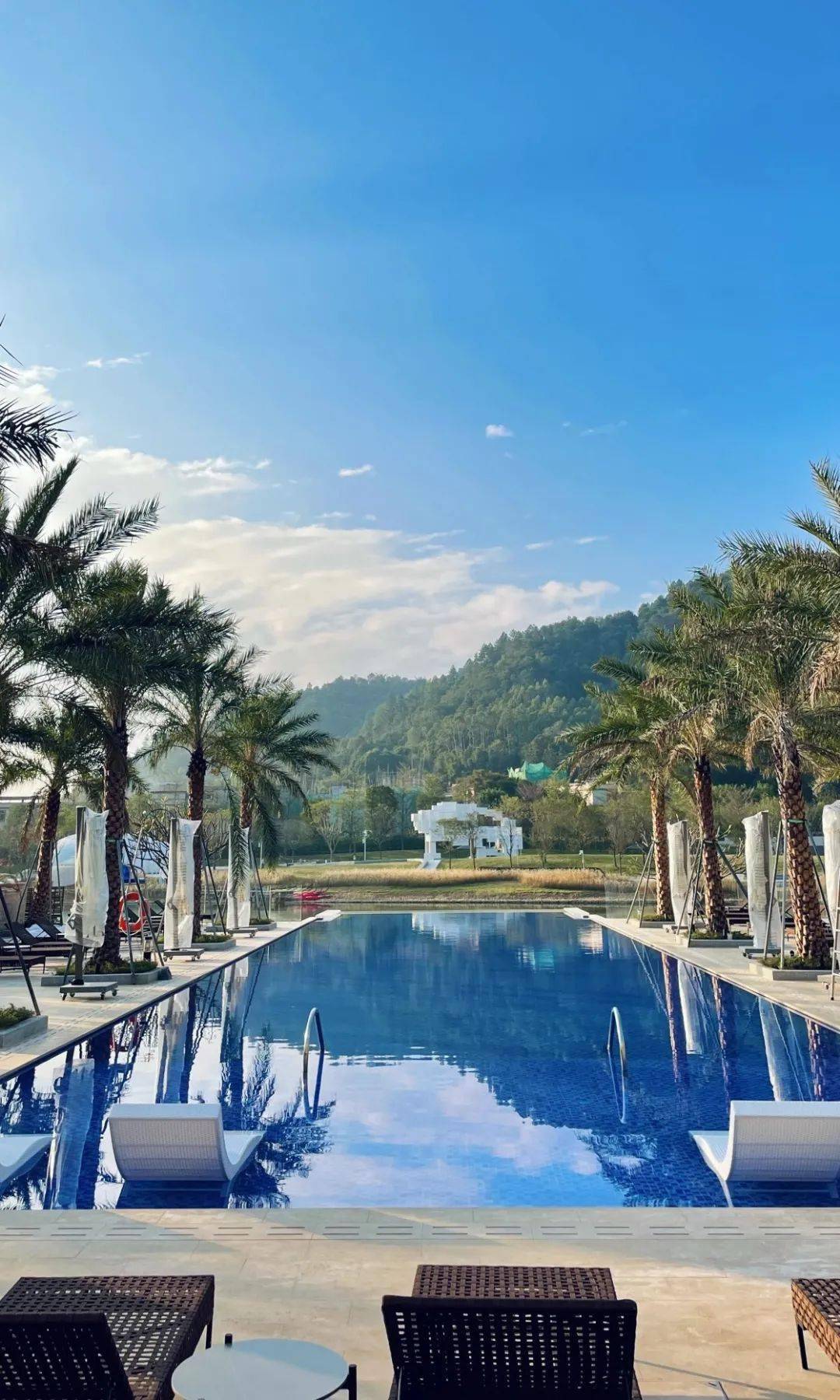 打卡全新高逼格度假酒店06699元套抢河源春沐源小镇棕榈树轻奢酒店