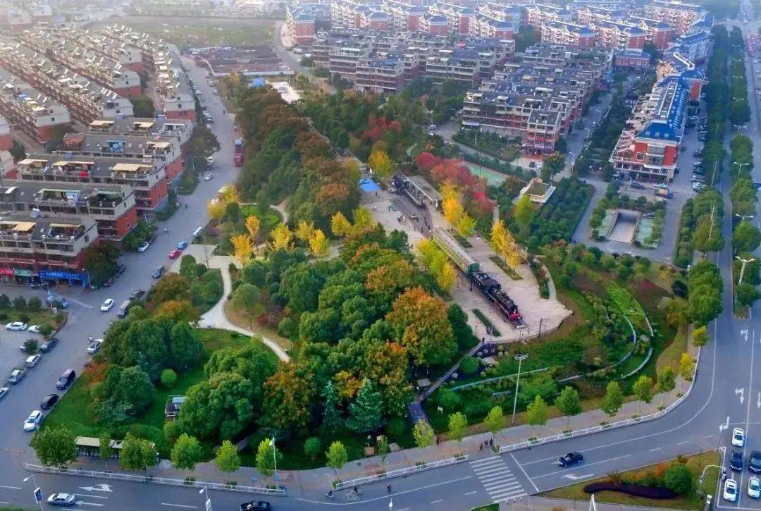 义乌南江一群鸳鸯常来嬉水!还有.