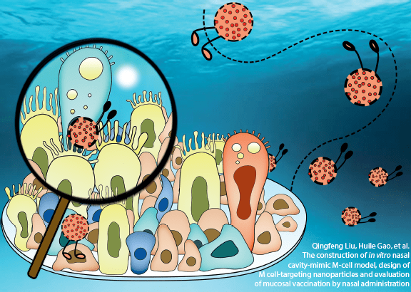 【apsb】2020年读者最喜爱的封面评选,快来投票吧!