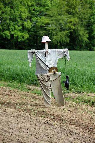 那地里好像有个人_稻草人