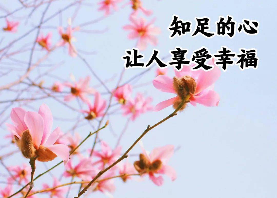 做个知足的人不和别人比