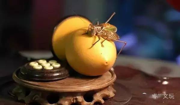 冬日雅趣--蝈蝈葫芦