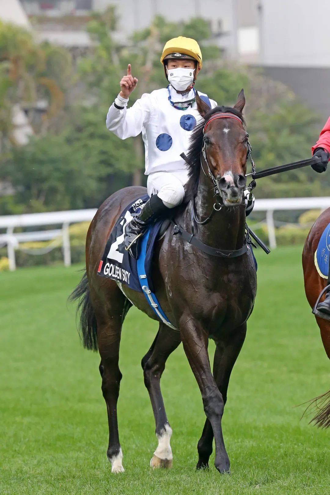香港又多一匹世界级顶尖赛驹