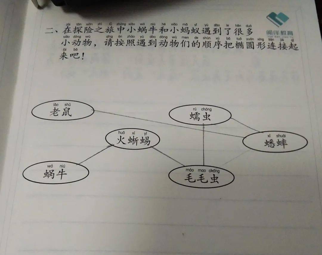 蜗牛的思维导图怎么画图片