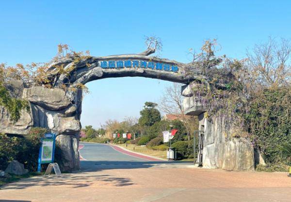 南通开沙岛,万里长江中的绿色明珠