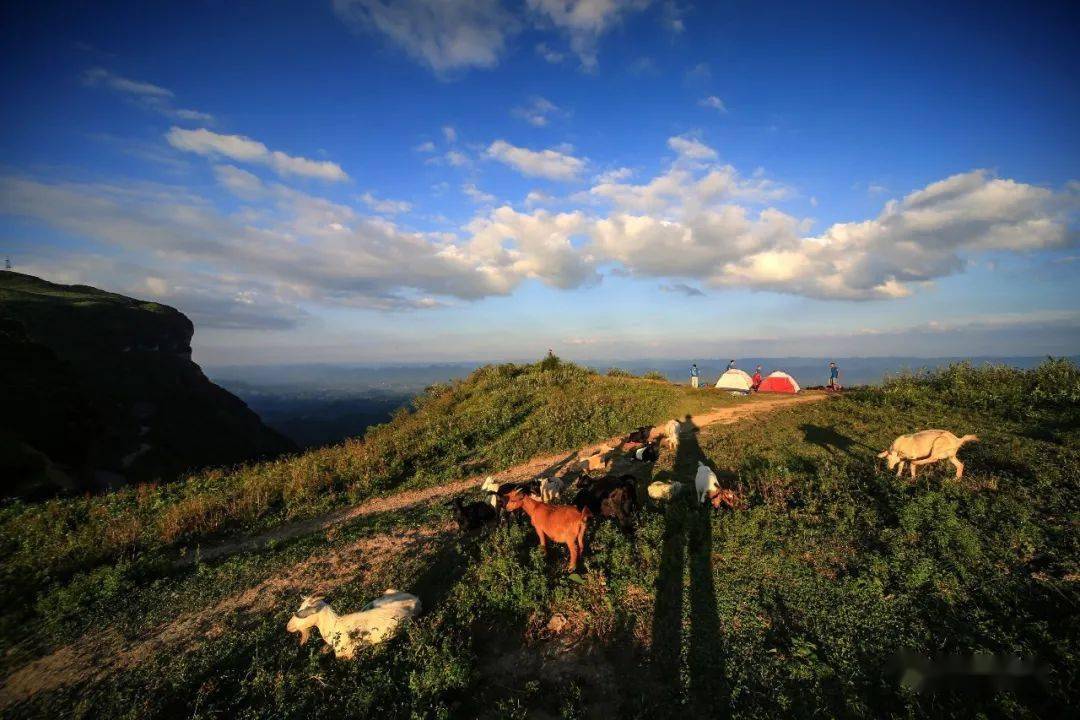 今天八面山云顶村又上《人民日报》啦!