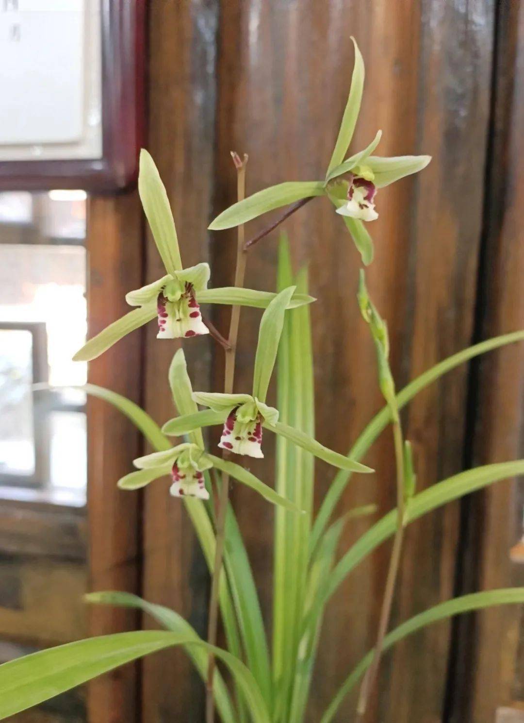 愈冷愈香这两抹冬日限定冷香悄然上线