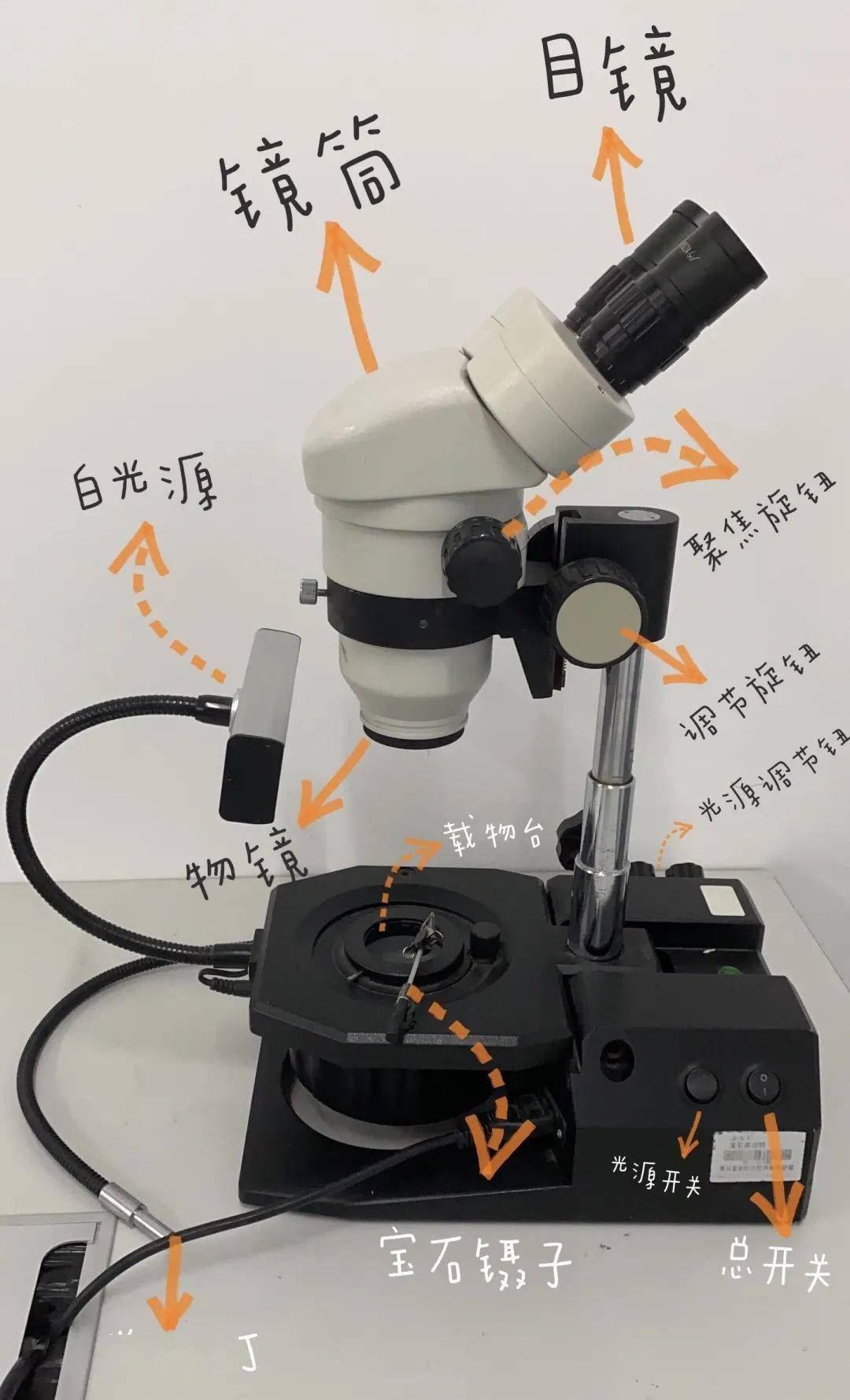 宝石显微镜的照明方式图片