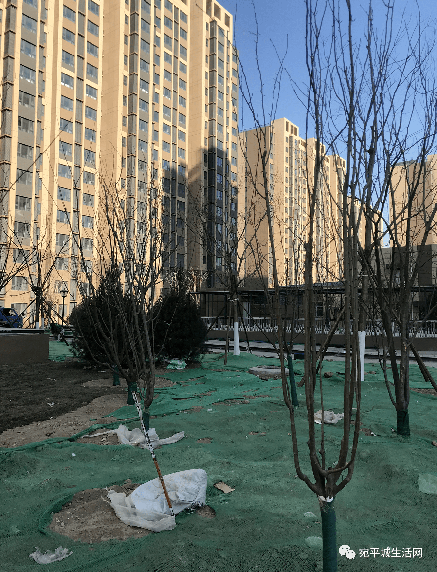 京城雅苑详情抢先看小区配套小学和养老院什么样全地下停车配比11