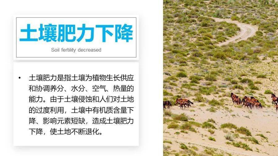 以图文形式介绍土地沙化,石漠化,土壤侵蚀,土壤盐碱化,土壤肥力下降等