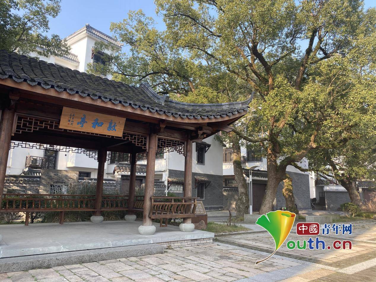 组图枫桥镇枫源村新时代枫桥经验的样板间