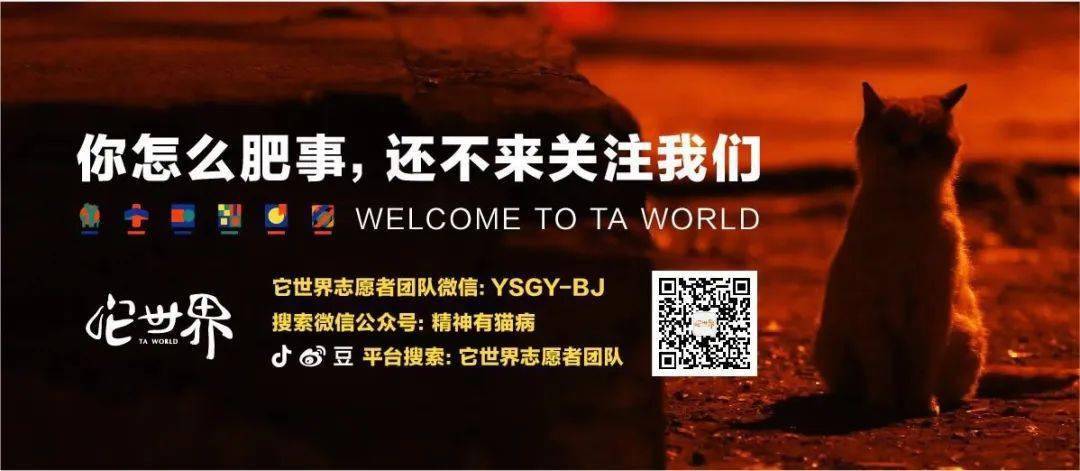 义卖冬季募粮求助力给流浪喵星人一份冬日温暖