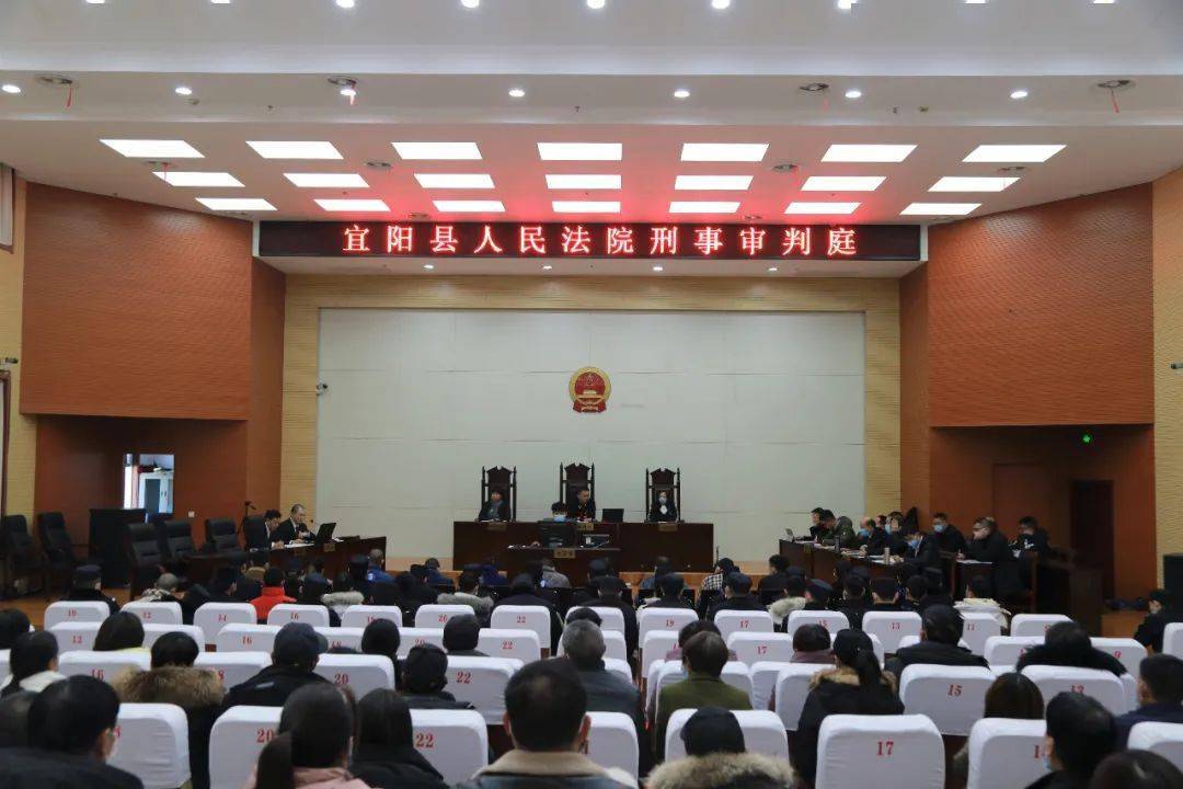 先后以"米粒优选科技有限公司"等公司为平台,在洛阳市洛龙区某写字