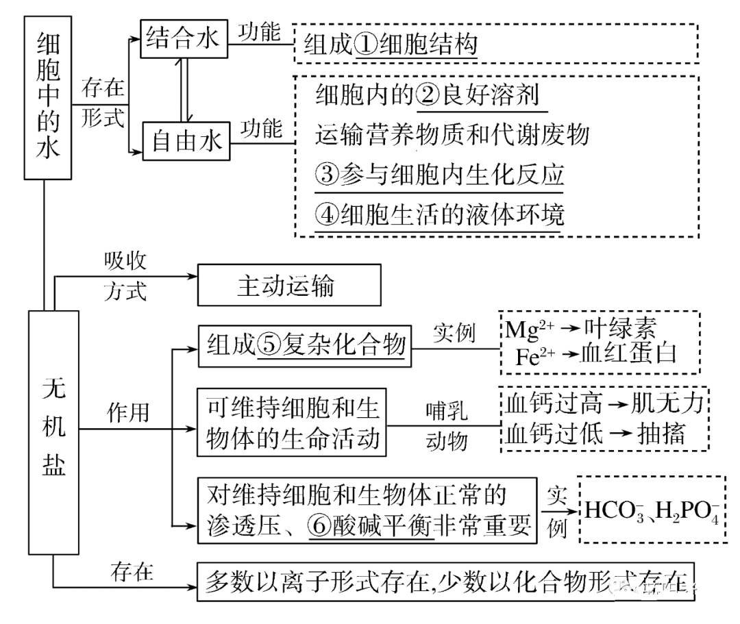 高考生物一轮复习分子与细胞思维导图专题汇总汇总