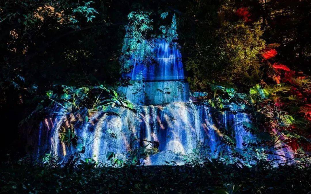 深圳首个光影森林奇幻光景陪你度过欢乐跨年季