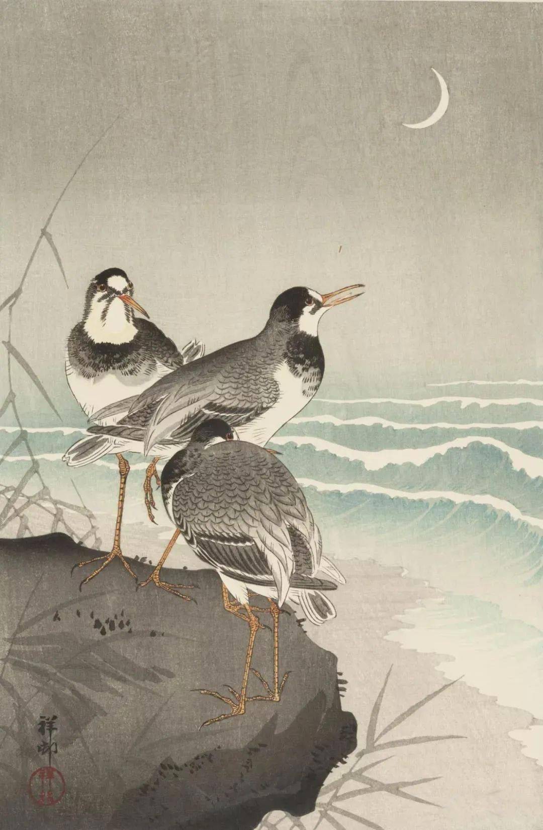 日本绘画大师的花鸟画淡雅清新
