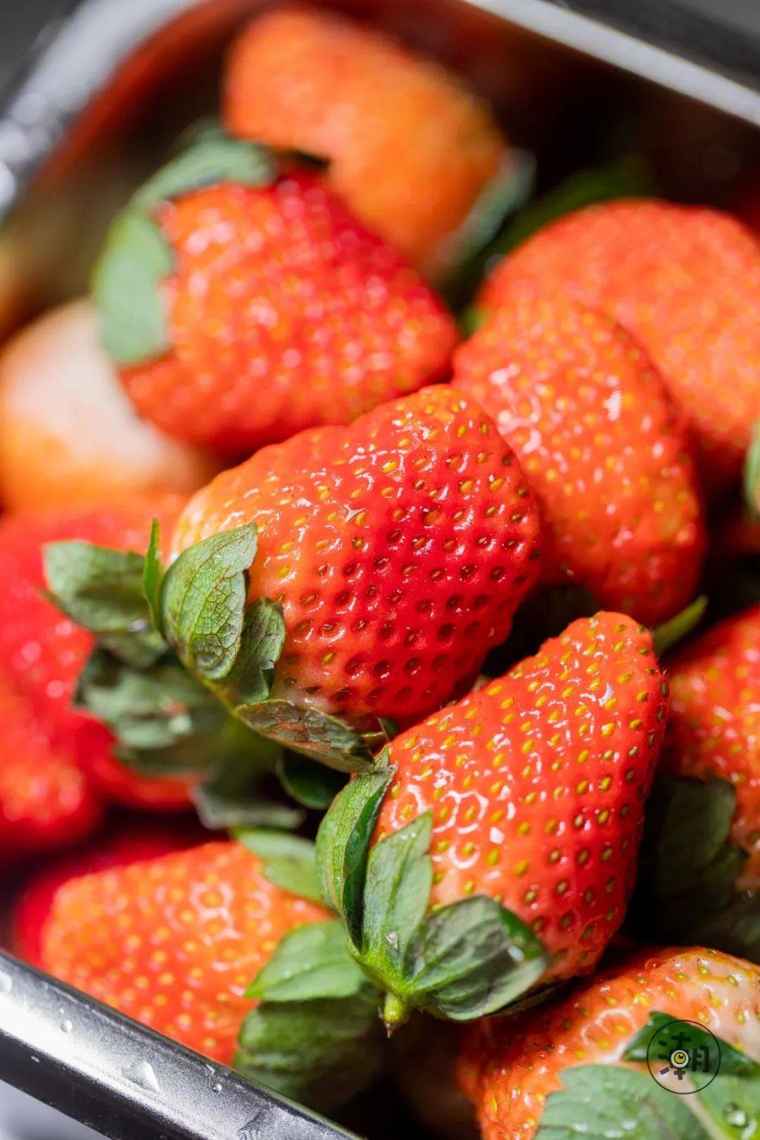 圈粉草莓来啦冬季限定少女心