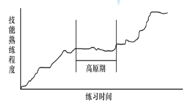 教综知识重点内容回顾